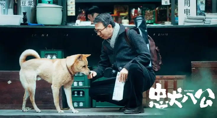 bilibili 解除地区限制